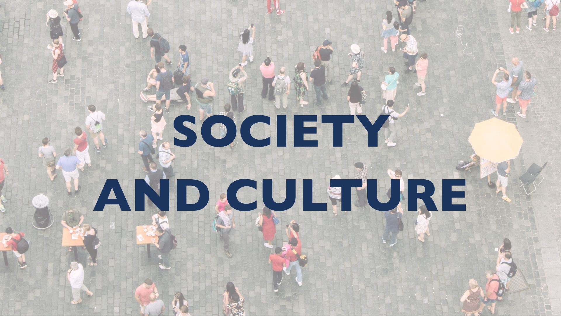 Society and Culture logo