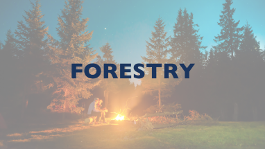 Forestry button