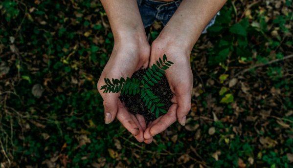 Photo of sustainability 